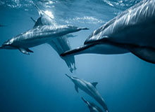 开云注册平台：让成长从简开始